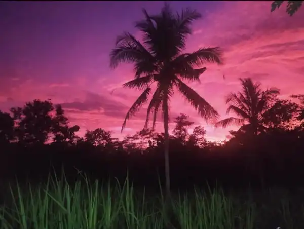 Langit Merah